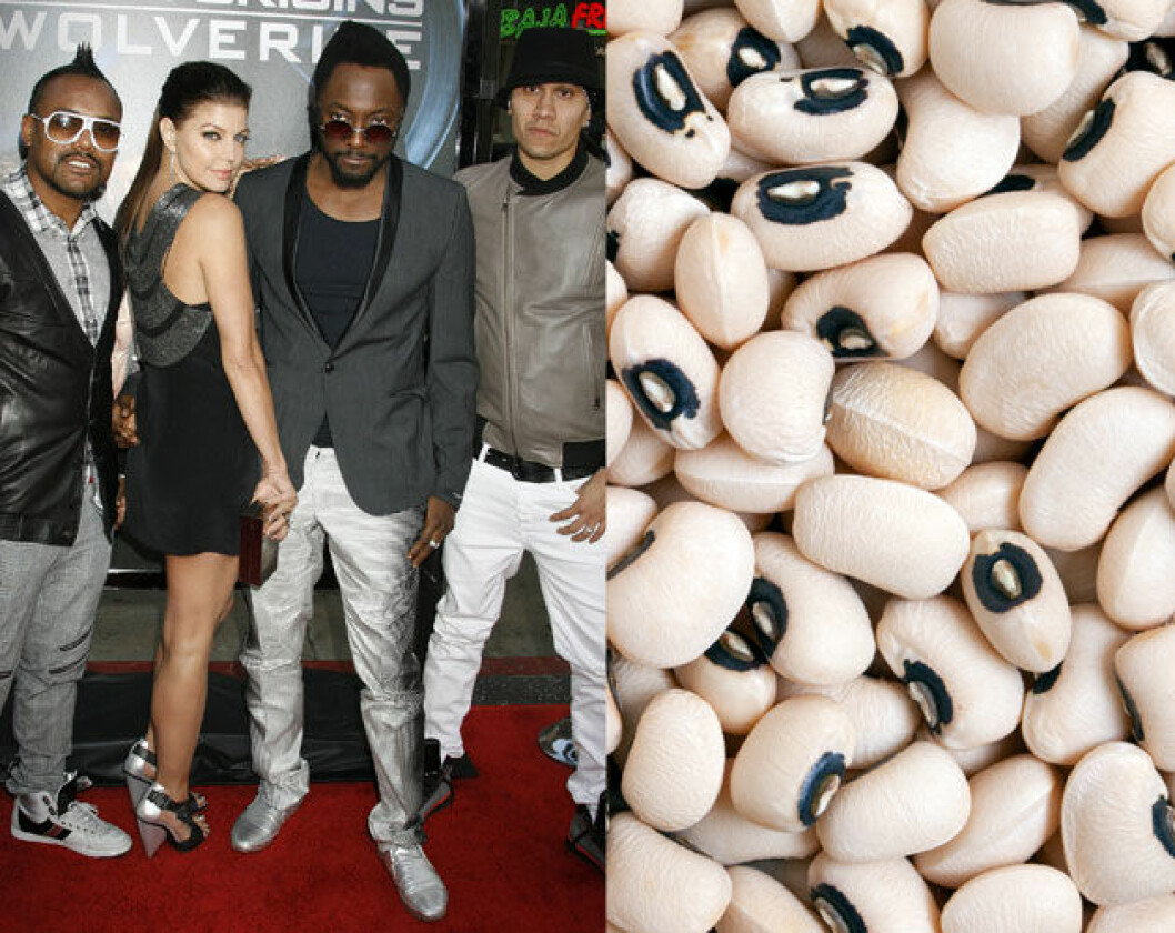 Foto: All Over Press, Colourbox<strong> </strong> ny1