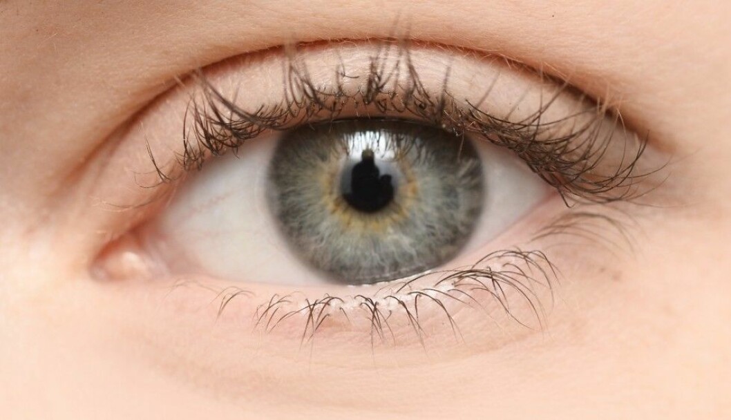 beautiful eye