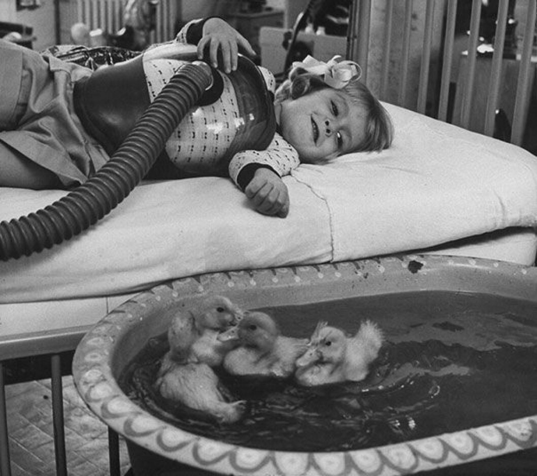 Foto: <a href="http://www.historybyzim.com/wp-content/uploads/2012/04/Ducks-Medical-Therapy-1956.jpg" target="_blank">Historybyzim</a> old-historic-photos-151__605