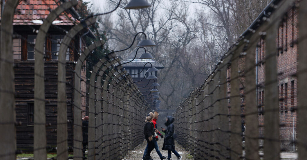 Omkring 1,1 miljoner människor uppskattas ha mördats i koncentrationslägret Auschwitz-Birkenau, merparten judar. Arkivbild. Utredning: Förneka Förintelsen ska bli olagligt
