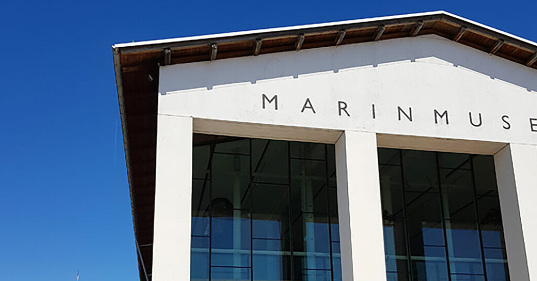 På Marinmuseum i Karlskrona har skyddsstopp utfärdats efter att radioaktivitet uppmätts på fyra olika ställen ombord på en museibåt. Radioaktiv strålning stänger museifartyg