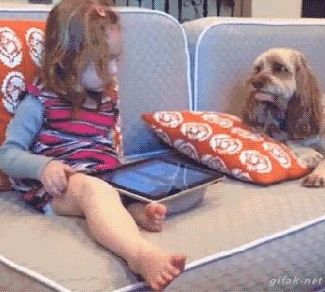 Via: <a href="http://giphy.com/gifs/pillow-pillows-ipads-2RFmif79NR5CM" target="_blank">Giphy</a> Via: Giphy