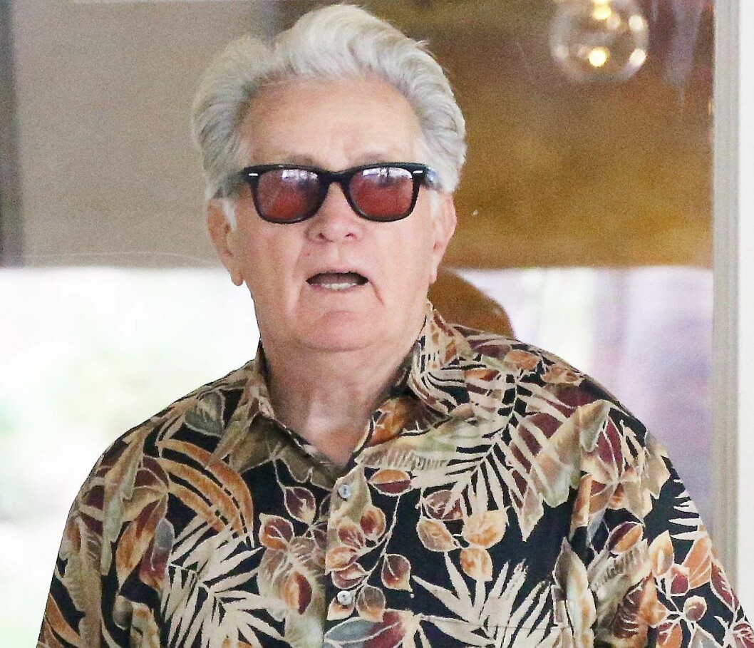 Pappa Martin Sheen får stå för uppehälle.