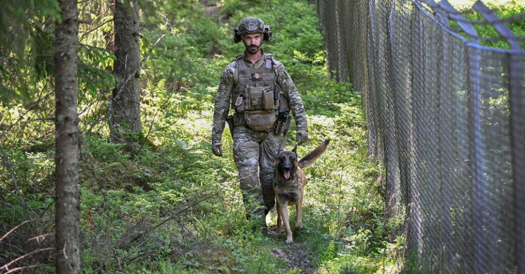 Patrullhunden Stitch, en snart treårig malinois, deltar i tillsammans med hundföraren Davey Slingers. Ludna krigare övar för nya uppgifter