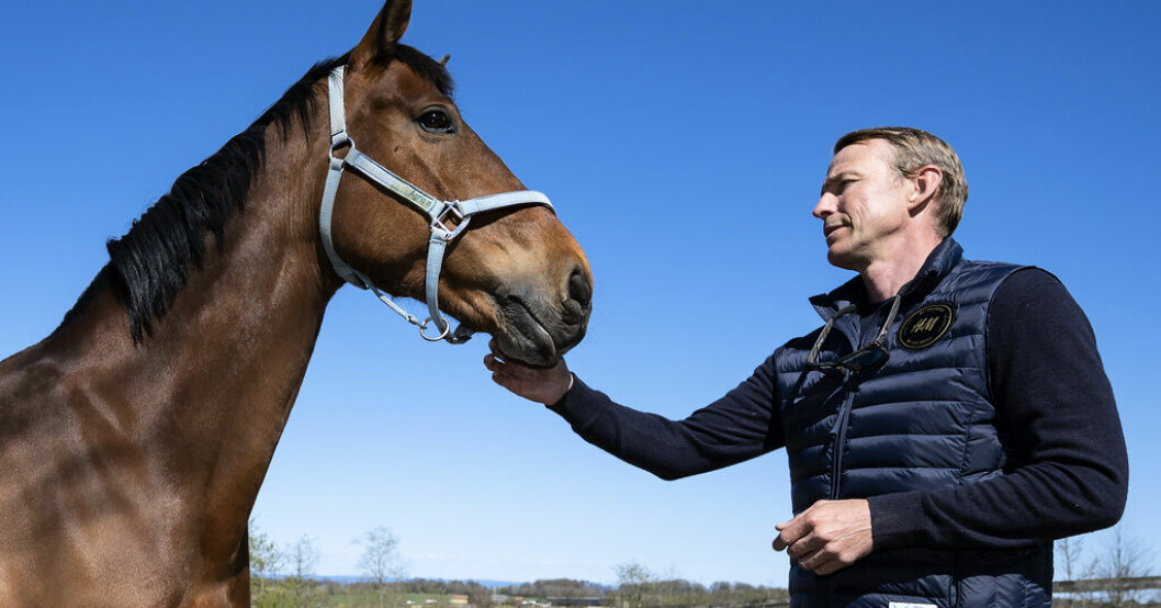 Peder Fredricson och All In i hagen hemma på Grevlundagården på Österlen våren 2020. Arkivbild. Fredricsons guldhäst hyllas i Göteborg