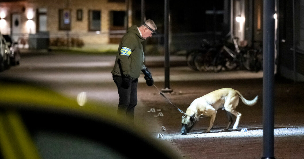 Polis med vapenhund på plats i Mariastaden i Helsingborg tidigt på påskaftons morgon efter larm om skottlossning. Helsingborgsskjuten kom till sjukhus med taxi