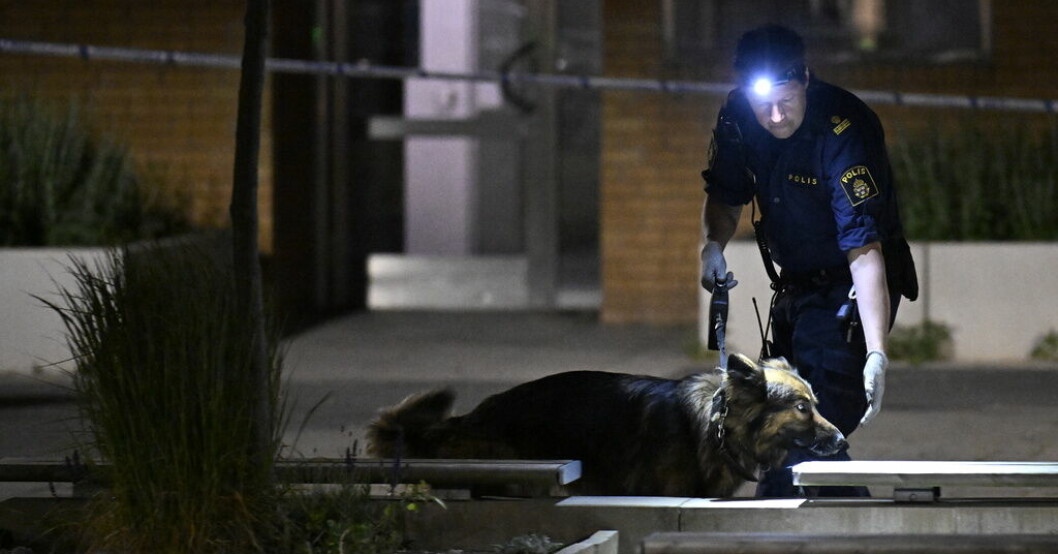 Polis söker efter spår med hund i Kroksbäck i Malmö. Man stucken i Malmö – livshotande skador
