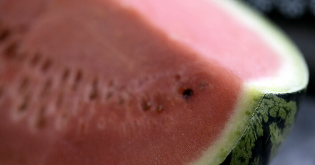 Larm om farligt föremål – hittade vattenmelon