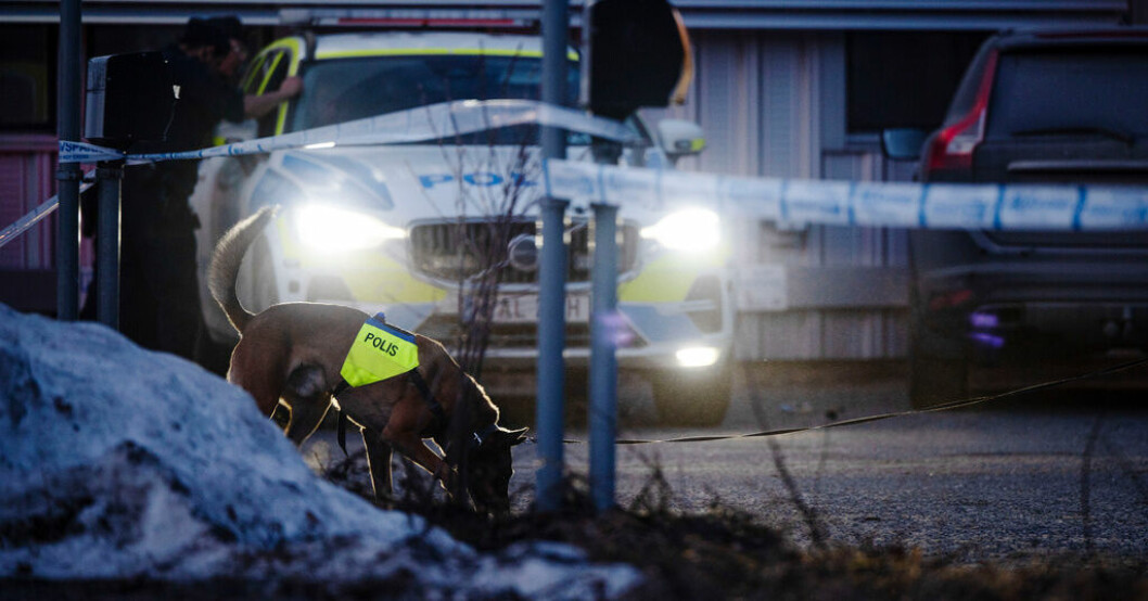 Polisen undersöker den plats där en man hittades skottskadad i Umeå. Arkivbild. Man häktad efter skottlossning