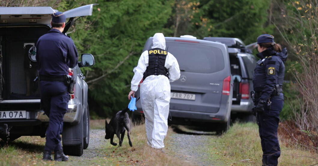 Polisens tekniker på platsen utanför Vetlanda sedan 21-åriga Tove hittats död i november förra året. Arkivbild. Vetlandakvinnorna kan skriva kriminalhistoria