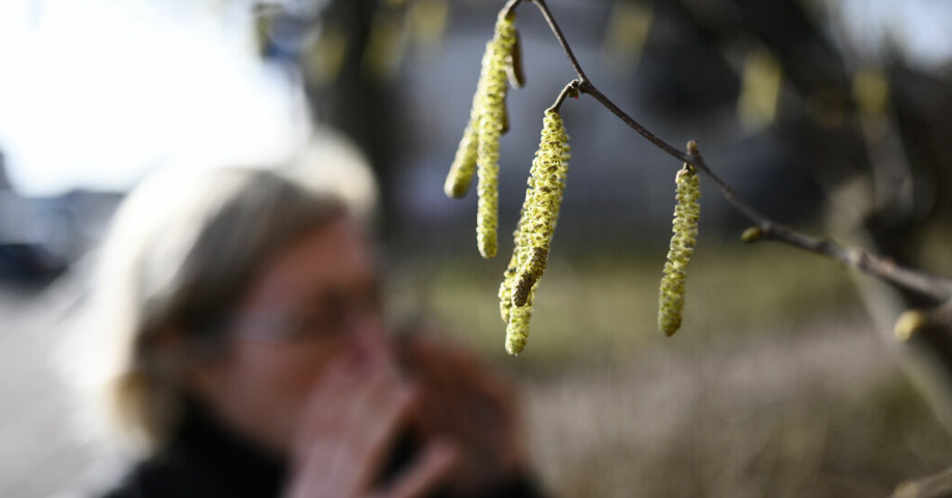 Pollen.