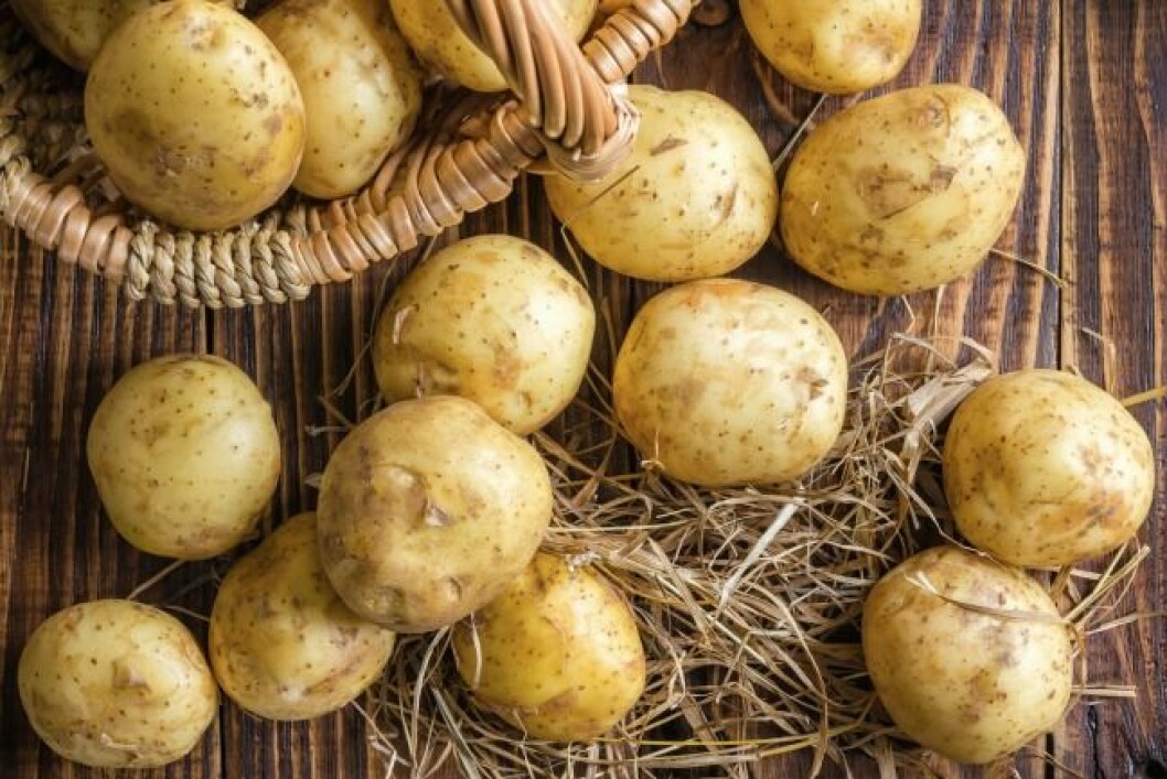 potatis
