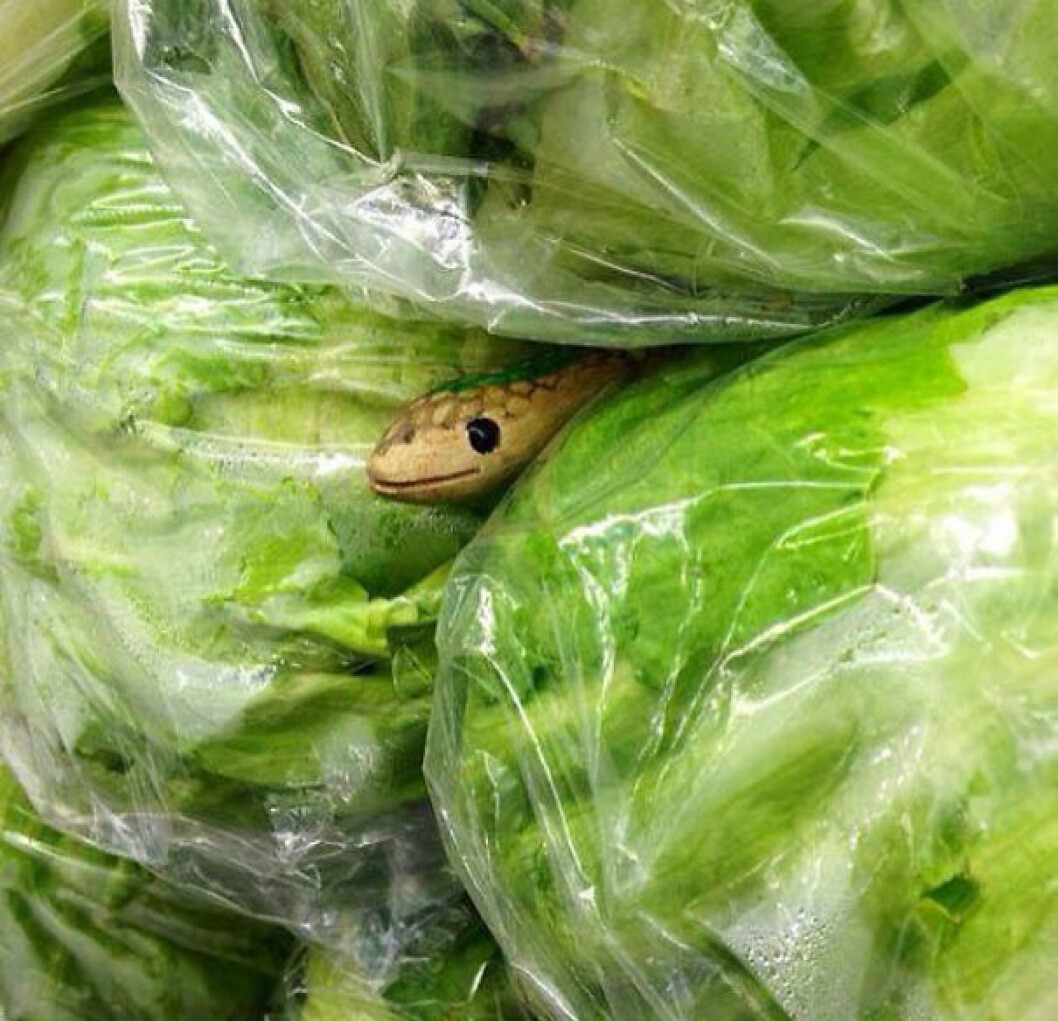 Via: <a href="http://www.boredpanda.com/funny-april-fools-pranks/" target="_blank" rel="noopener">Bored Panda</a> pranks17