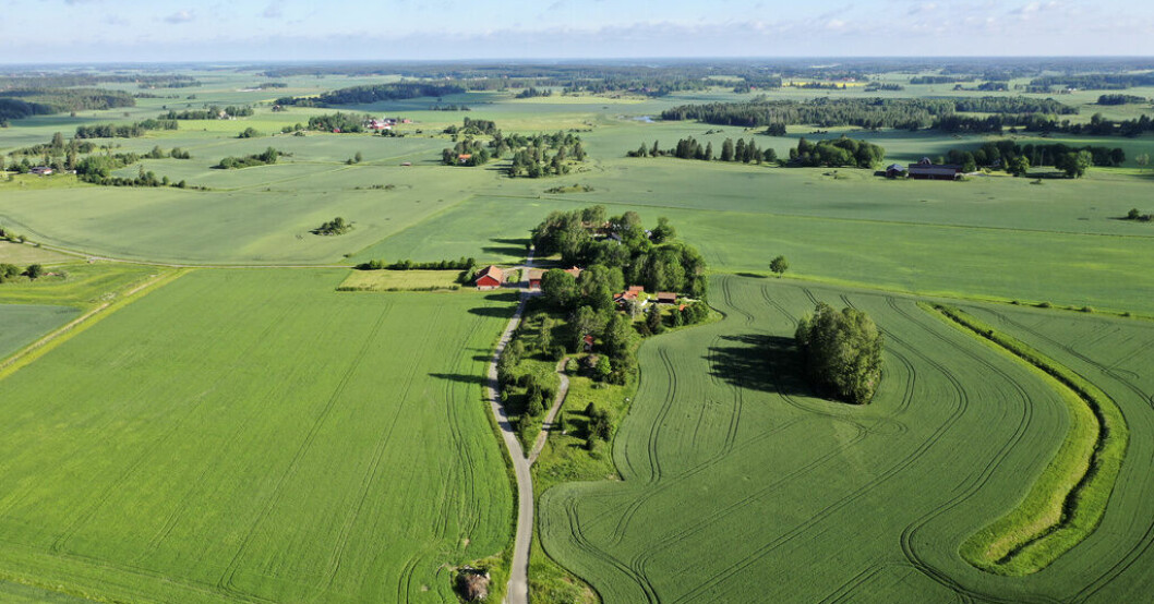 Priset på åkermark fortsatte att stiga under förra året. Priset på åkermark ökar – men inte överallt