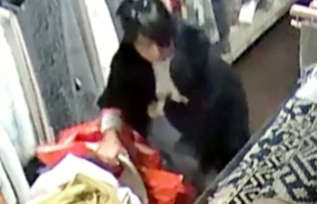 Polisen och åklagaren tog hjälp av bilderna för att hitta bevis. De såg flera hundra bedrägerier som Narinder Kaur gjort sig skyldig till. Polisen och åklagaren tog hjälp av bilderna för att hitta bevis. De såg flera hundra bedrägerier som Narinder Kaur gjort sig skyldig till.