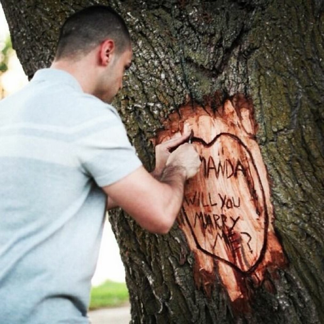 Via: <a href="https://instagram.com/howheasked/" target="_blank" rel="noopener">HowHeAsked/Instagram</a> proposal12