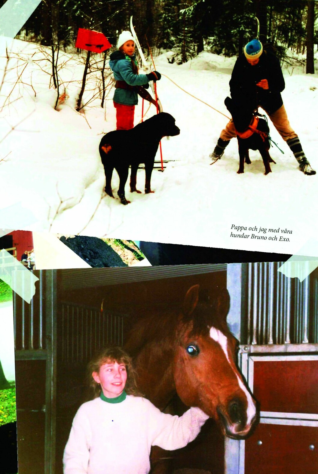 Barndomen bestod av hästar, friluftsliv och åter igen hästar. Foto: Lind&Co