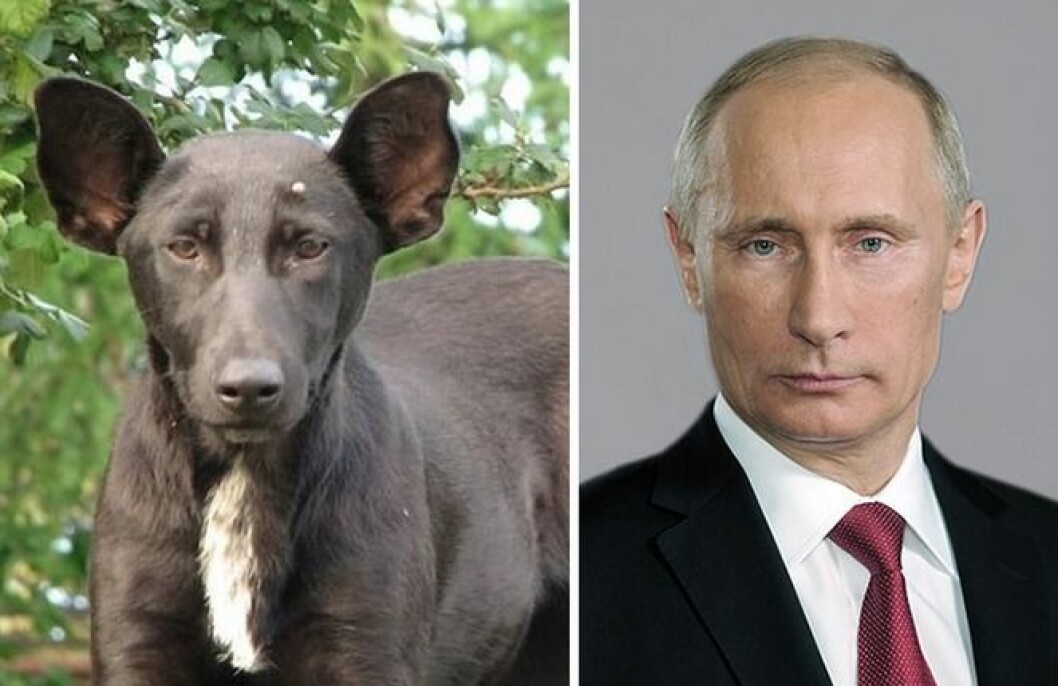 putin