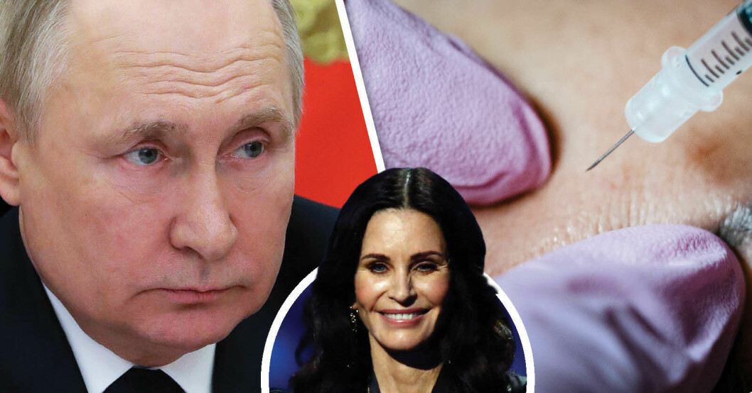 Putin. Vladimir Putin. Botox. Fillers. Pluffsig.