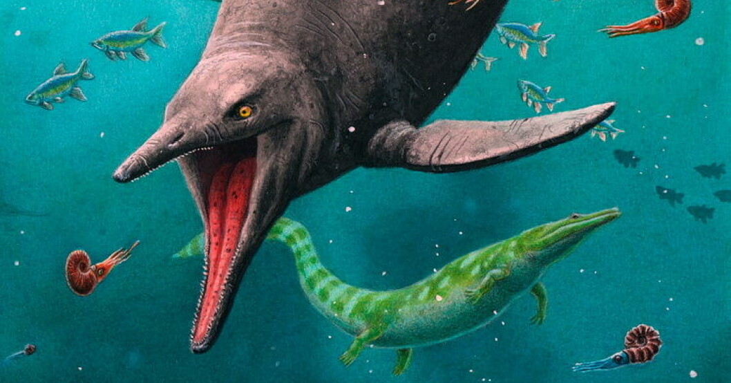 Rekonstruktion av den tidigaste ichthyosaurien och det 250 miljoner år gamla ekosystemet som paleontologerna hittat på Spetsbergen, Svalbard. Källarfynd kastar helt om teorin om sjömonster