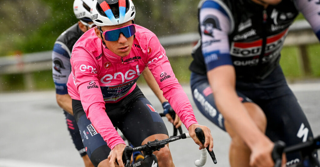Remco Evenepoel föll när en hund sprang över vägen under Giro d'Italia. Hund fick favoriten på fall i Girot