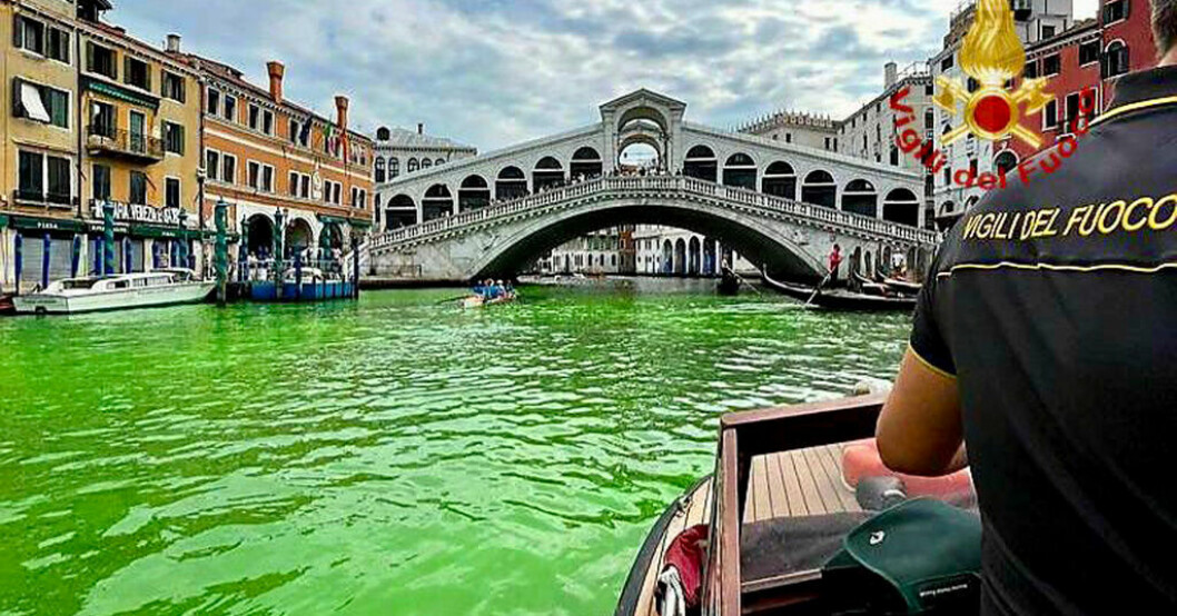 Rialtobron i Venedig med det gröna vattnet på söndagen. Mysteriet i Venedig är löst