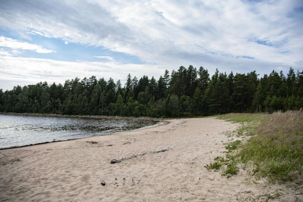 Robinson Sverige 2021. Robinson 2021 utspelar sig i Sverige