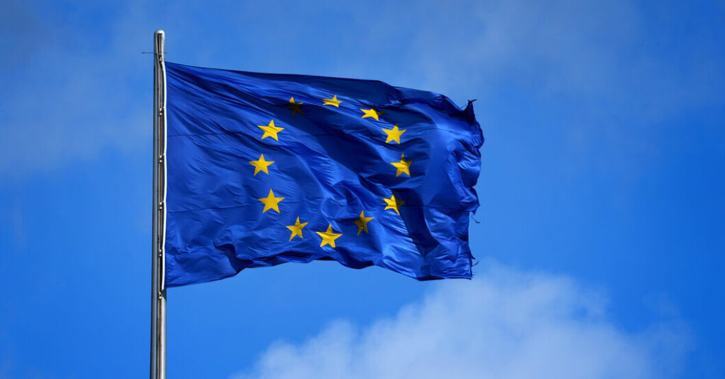 Rökt vättersik blir ursprungsskyddad. Arkivbild. Rökt vättersik får EU-skydd