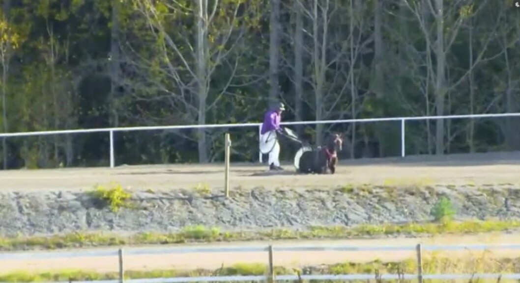 Runars häst trillade omkull mitt under inspelningen av “Stjärnkusken”. FOTO: TV4 runar-3