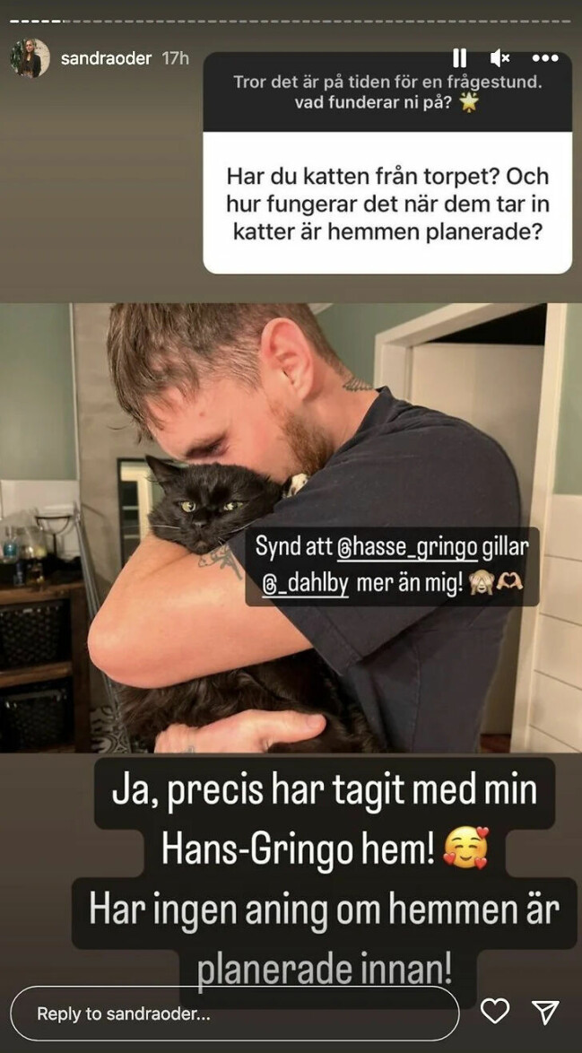 Sandra Öders Instagram-story