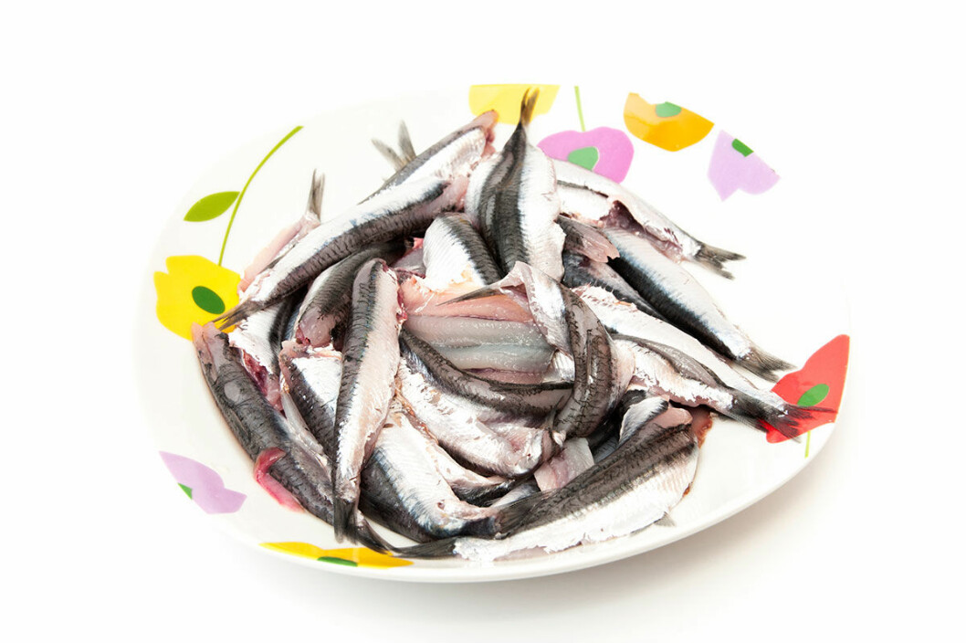 sardiner