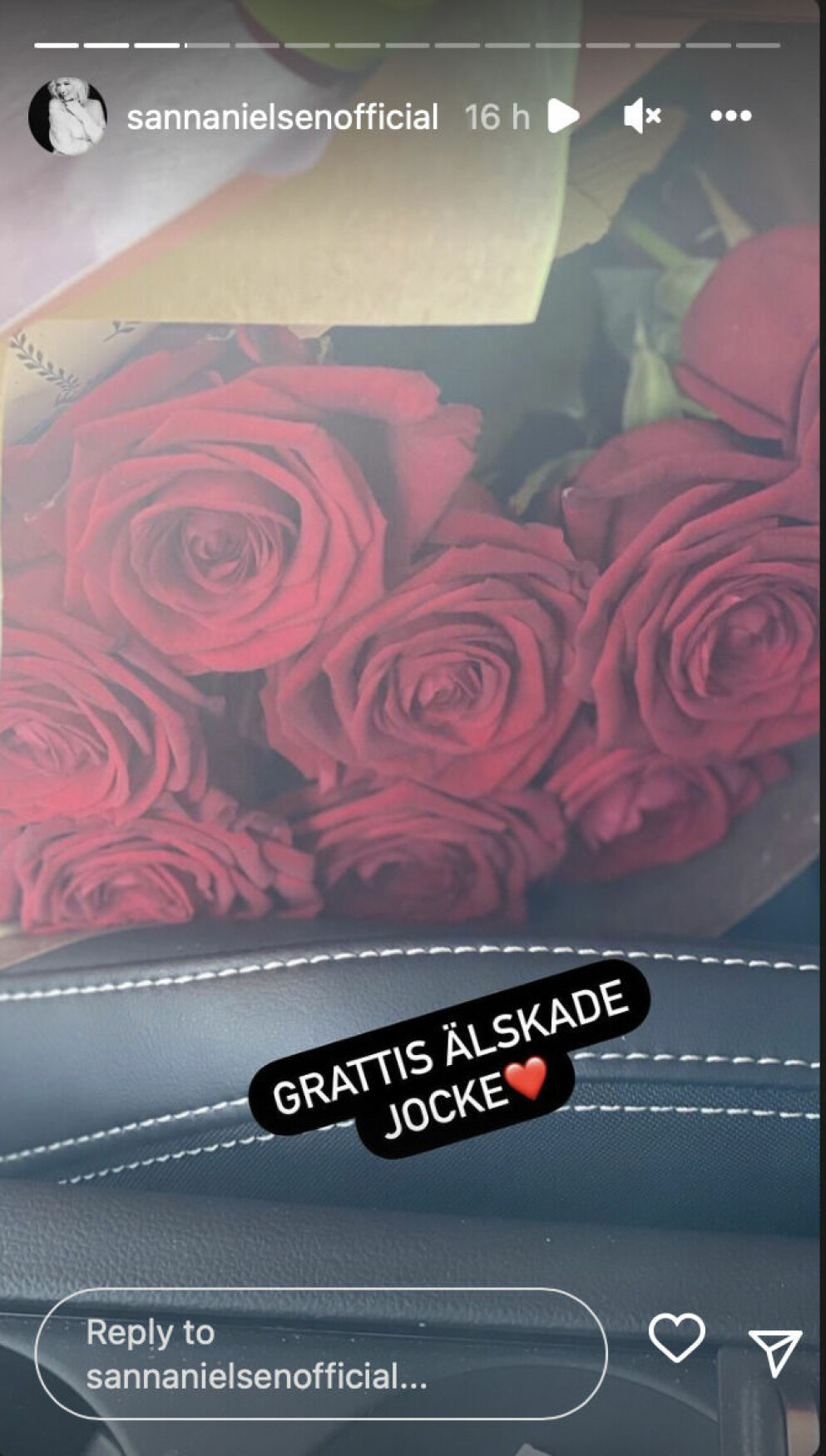 Sanna Nielsens Instagram-bild