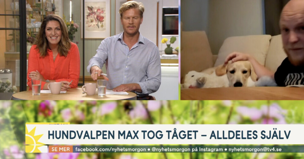 Programledarna Soraya Lavasani och Martin Järborg tillsammans med hunden Max och husse Niklas.