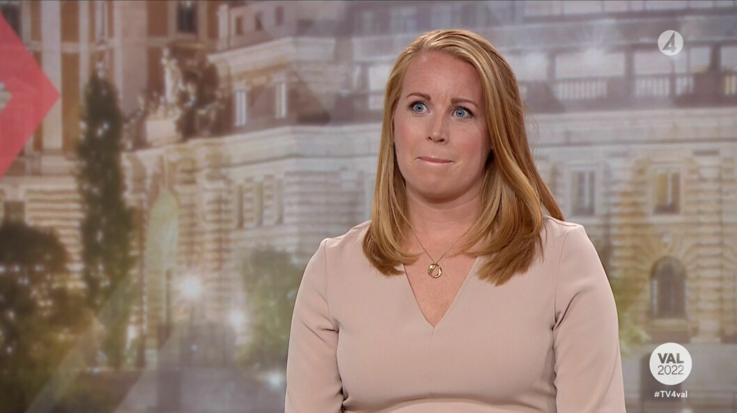 ”Jag blev lite ställd över att ni lyfte just det här”, sa Annie Lööf under utfrågningen.