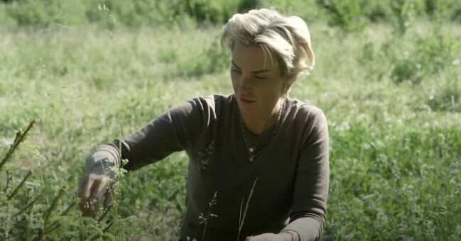KARIN KOLLBERG