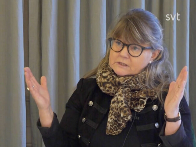 Lena Carlsson, vd för Smycken och klockor, beskriver marknaden för guld som ”en djungel”. Lena Carlsson, vd på Smycken och klockor.