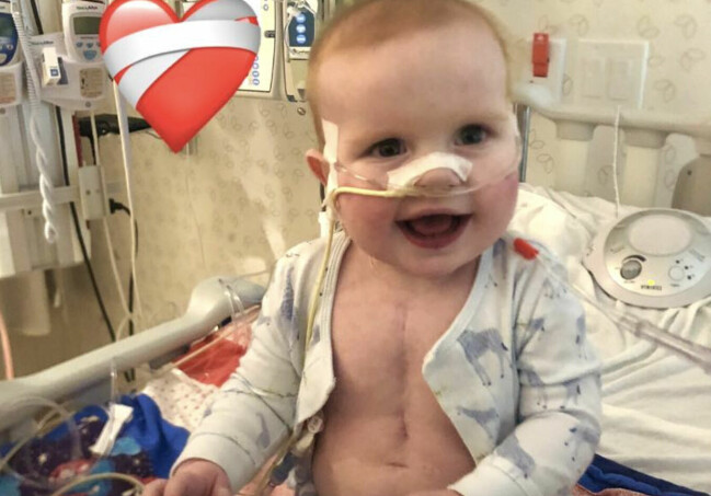 Mark efter sin lyckade hjärttransplantation. Mark i en sjukhussäng med ett stort ärr på magen.