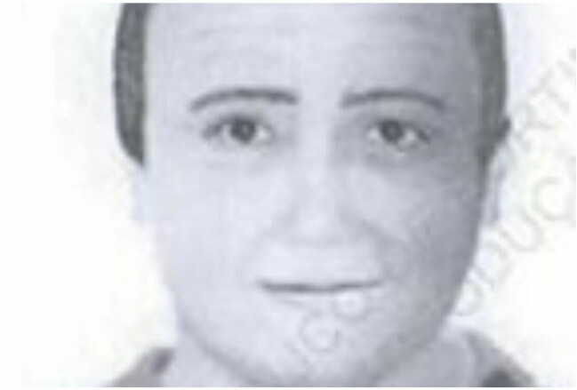 Den huvudmisstänkta i Madeleine McCann-fallet är en tysk man. Julia Wendell påstår att hon blivit sexuellt utnyttjad av en annan tysk man som tidigare var huvudmisstänkt i ärendet. Marvin Ney.