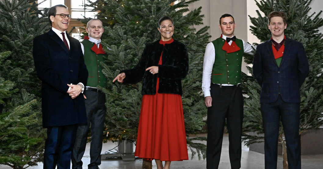 Kronprinsessan Victoria och prins Daniel tog emot året julgranar av Skogshögskolans studentkår i Umeå på Stockholms slott.Foto: Jonas Ekströmer / TT / Kronprinsessan Victoria och prins Daniel tog emot året julgranar