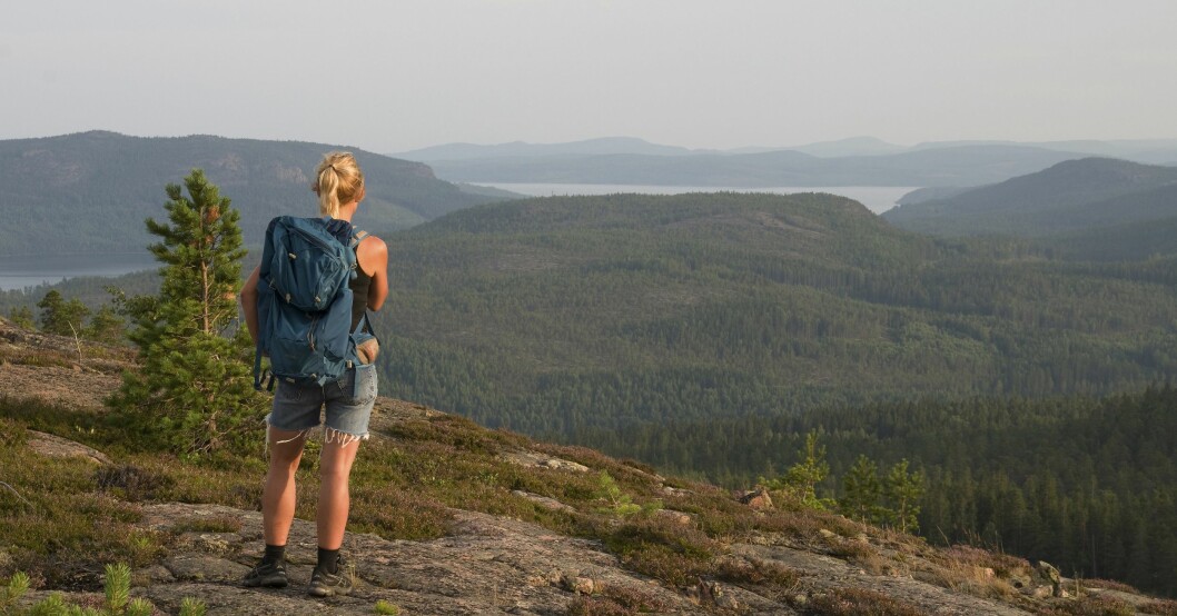Skuleberget