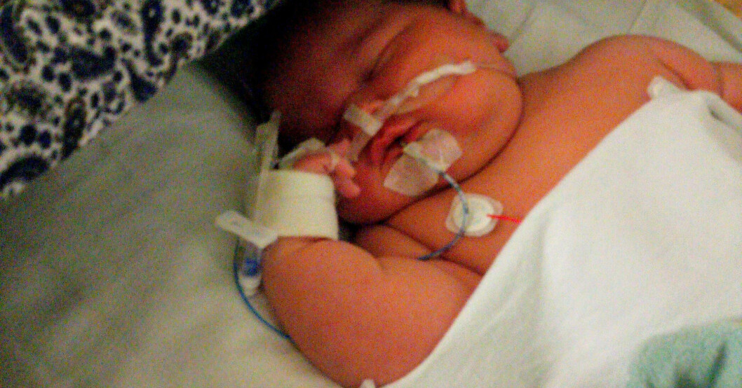 Alpha föddes 28 oktober på John Radcliffe Hospital i Oxford och vägde 6,8 kilo vid födseln. Alpha
