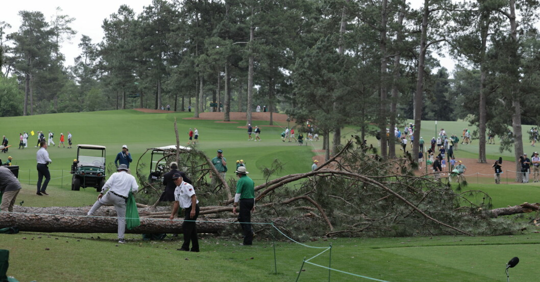 Ovädret fick ett träd att välta över golfbanan där publiken befann sig. Träd på golfbanan.