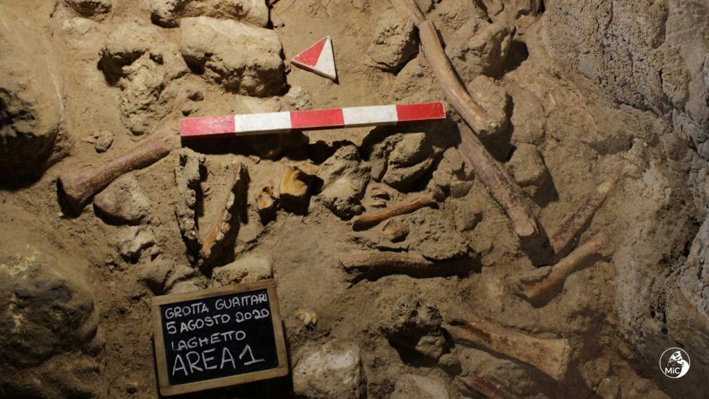 Kvarlevor från neandertalare hittade i Guattarigrottan. Kvarlevor hittade i Guattarigrottan