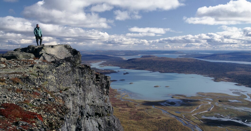 Utsikt över Sareks nationalpark från berget Skierfe. Skierfe