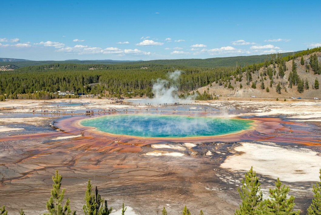 En av de heta källorna i den amerikanska nationalparken Yellowstone.