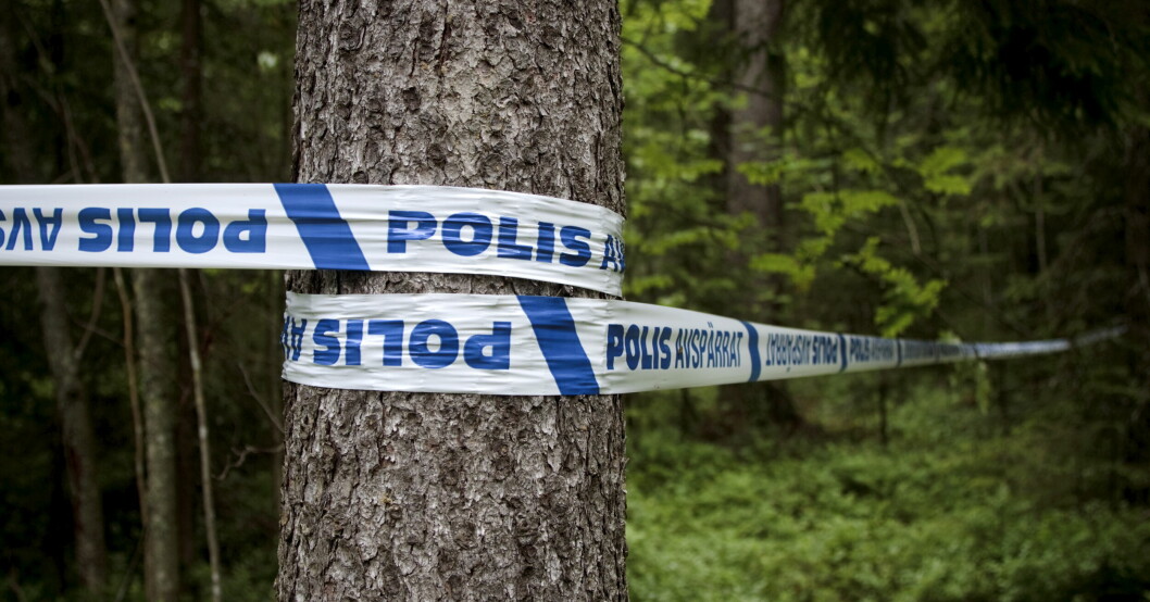 Avspärrat i skogen.