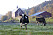 Är det till Vermont som flyttlasset ska gå? Bilden är tagen på en bondgård i Rochester.