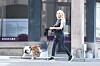 2005 flyttade Helena Seger med Zlatan till Italien. Helena Seger promenerar sin hund.
