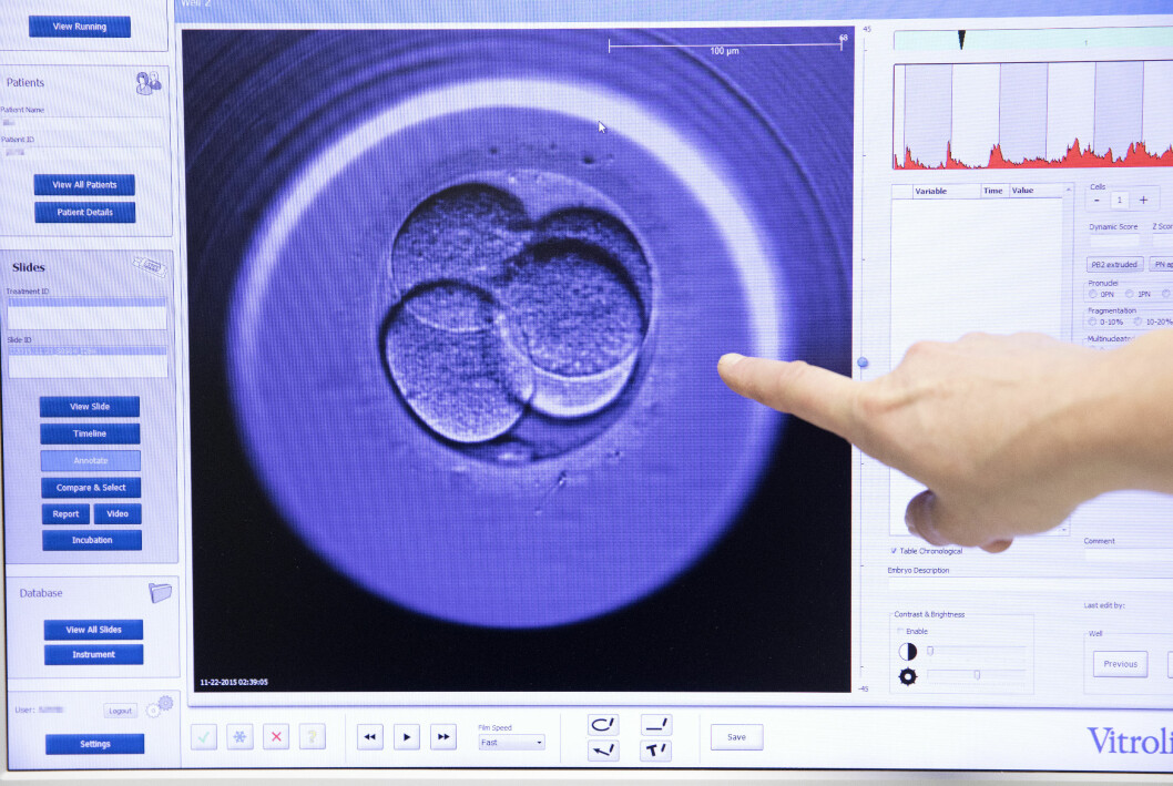 IVF-prov.
