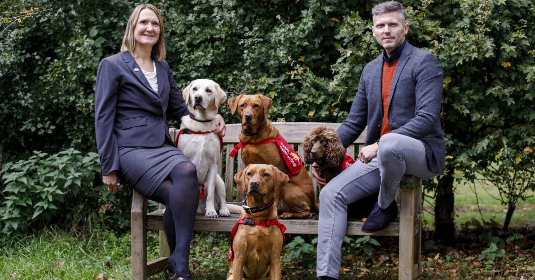 Claire Guest, vd för Medical detection dogs, med sina spårhundar. Claire Guest med sina spårhundar.